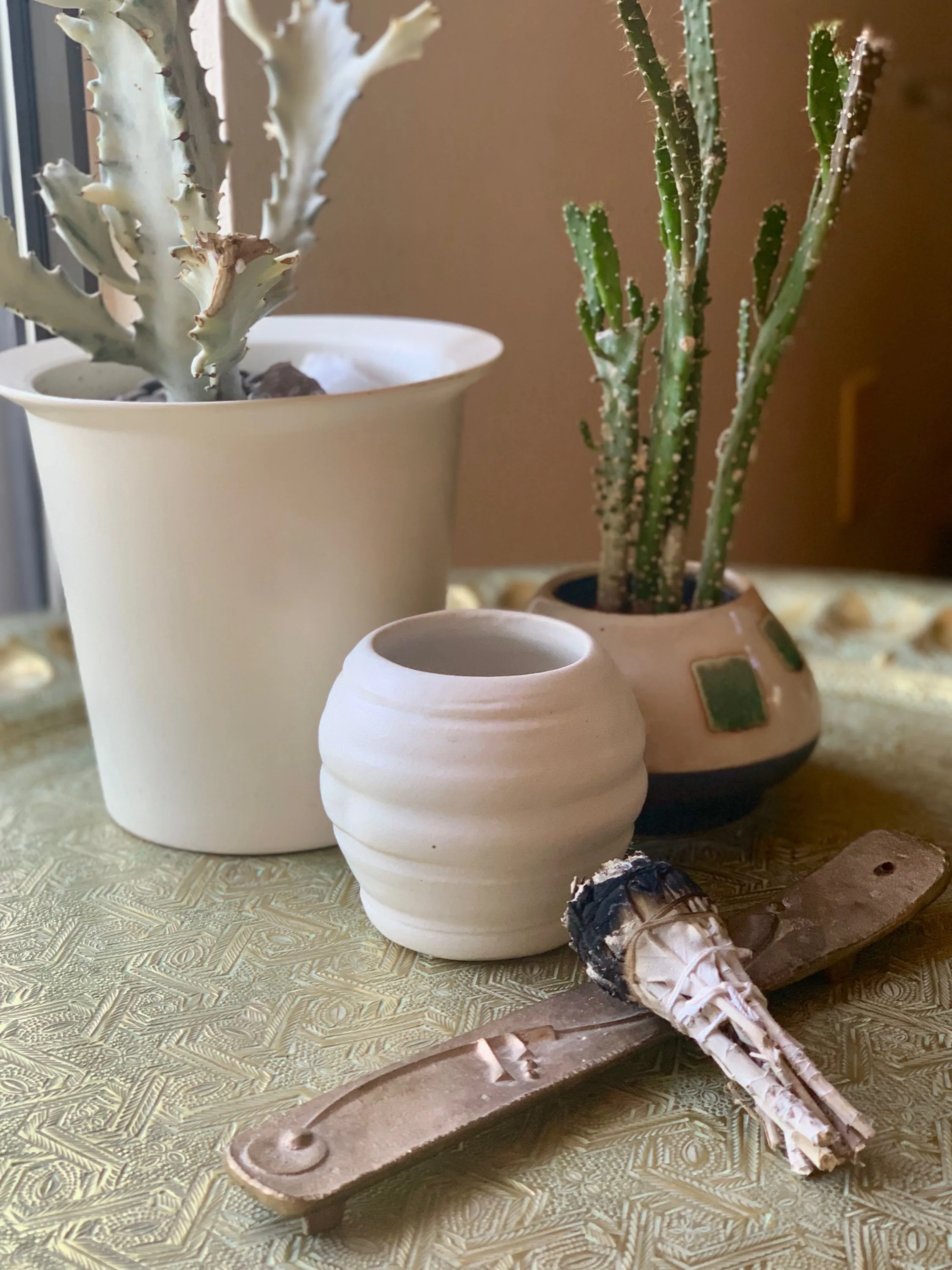 Ceramic planters with sage bundle and cacti